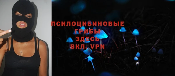ешки Алзамай