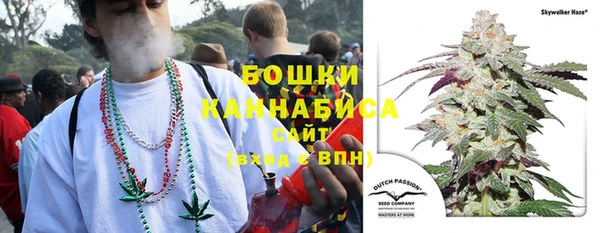 ешки Алзамай