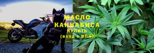 гидра Абаза